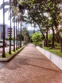 Road amidst trees against sky