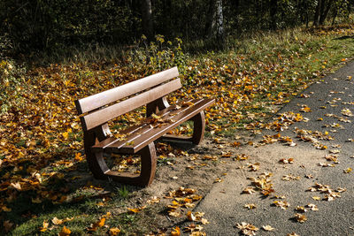 Bench in park during autumn