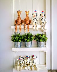 Potted plants hanging at home