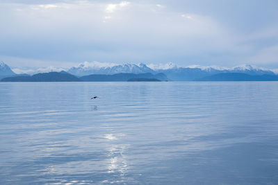 Lake view with snowy mountains background