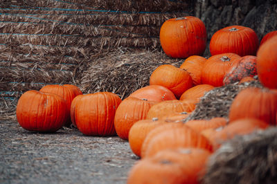 Pumpkins on field