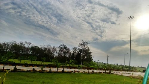 Trees in park against cloudy sky