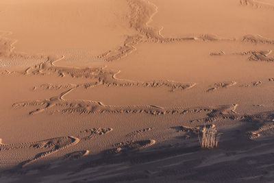 The formation of sands in dasht e lut or sahara desert with waved sand pattern on sand dune. 