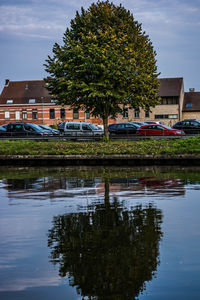 Trees by lake and buildings against sky