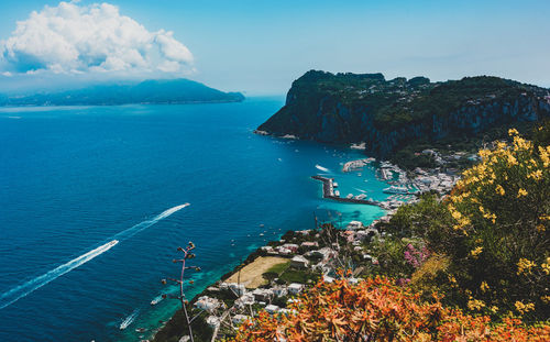 View of beautiful marina grande habour from above, capri island, italy.