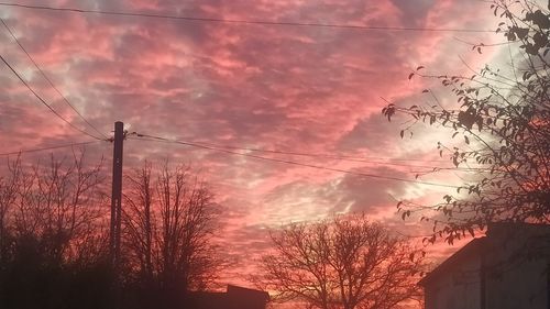 Low angle view of silhouette trees against sky during sunset