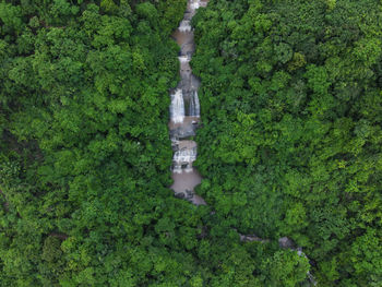 Beautiful khaiyachara waterfalls in bangladesh