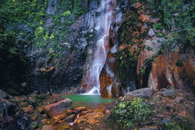 Scenic view of waterfall in forest