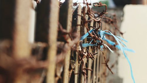 Close-up of rusty metal tied up on fence