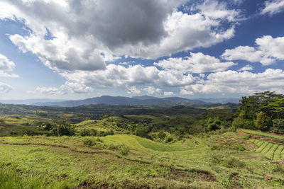 Scenic view of landscape against sky