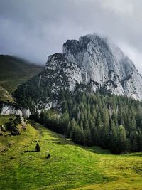 Scenic view of landscape against sky and mountain