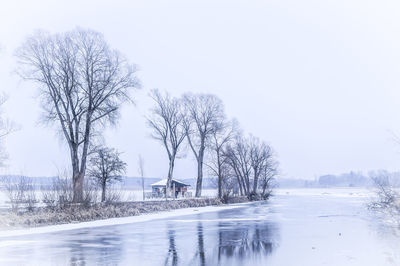 Bare trees on snow covered landscape against sky