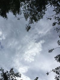 Low angle view of silhouette tree against sky