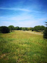 Scenic view of field against sky