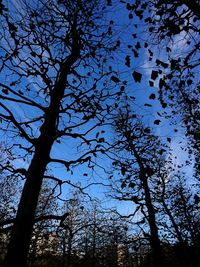 Low angle view of trees against clear blue sky