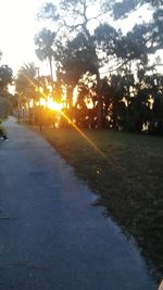 Road by trees against sky during sunset