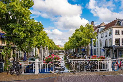 Trees by street against buildings in city