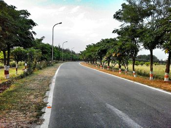 Empty road along trees