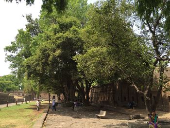 Man and woman in park