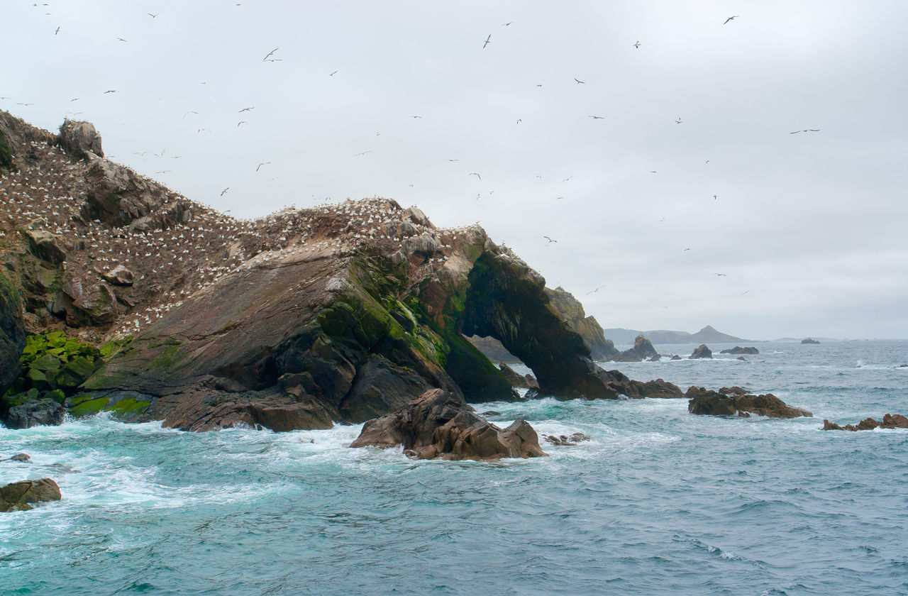 SCENIC VIEW OF SEA SHORE