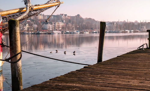 Birds perching on bridge over lake in city against sky