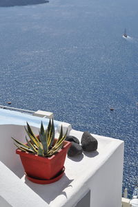 High angle view of potted plants by sea
