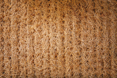 Full frame shot of crops