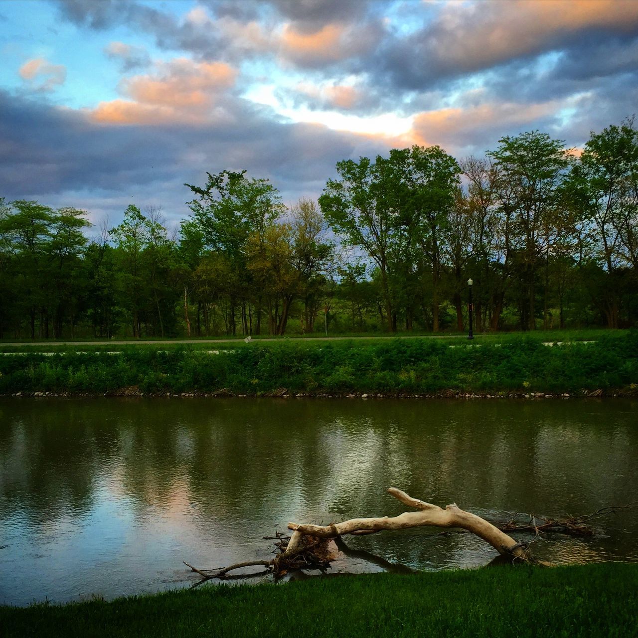 sky, tree, water, cloud - sky, tranquil scene, tranquility, lake, scenics, cloudy, beauty in nature, grass, reflection, nature, cloud, green color, idyllic, growth, landscape, sunset, outdoors