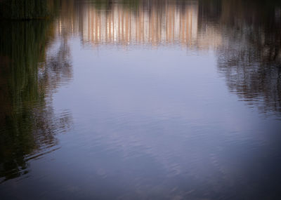 Scenic view of lake in forest