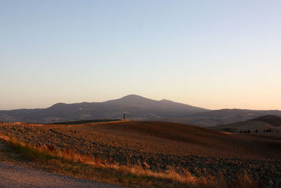 Scenic view of field against clear sky