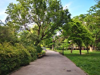 Footpath in park