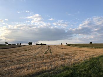 Scenic view of field against sky