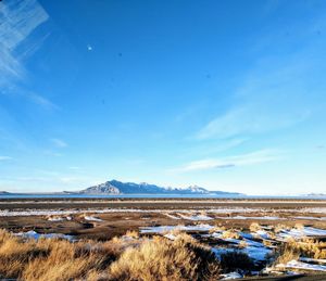 Scenic view of landscape against blue sky
