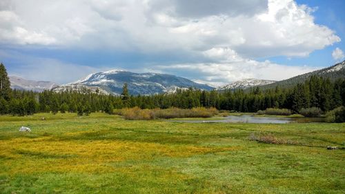 Scenic view of grassy landscape by mountains against sky