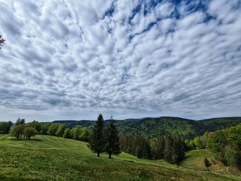 Scenic view of landscape against sky