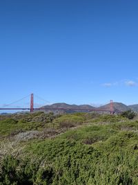 Scenic view of suspension bridge against clear blue sky