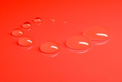 Close-up of red rose over white background