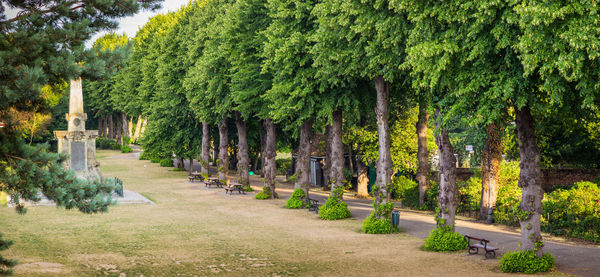 View of garden in park