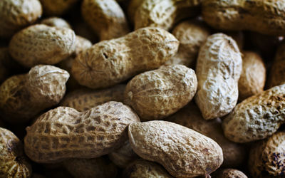 Full frame shot of wood