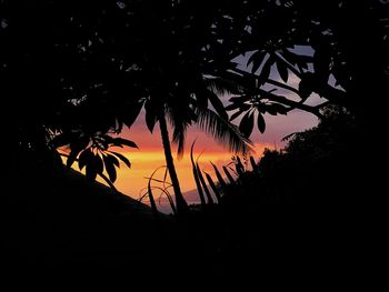 Low angle view of silhouette trees against sky at sunset