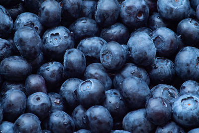 Full frame shot of blueberries