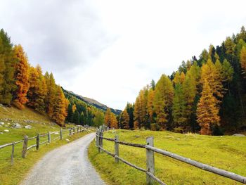 Road amidst trees against sky during autumn