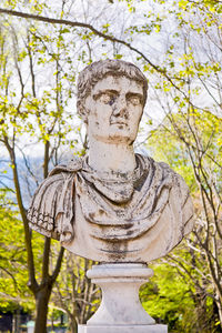 Close-up of angel statue against trees