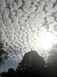 Low angle view of silhouette trees against sky