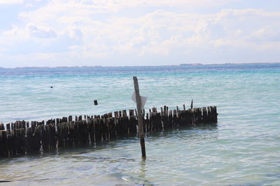 Seagulls on wooden posts in sea against sky