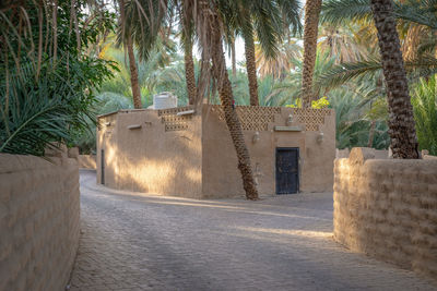 Footpath by palm trees against wall