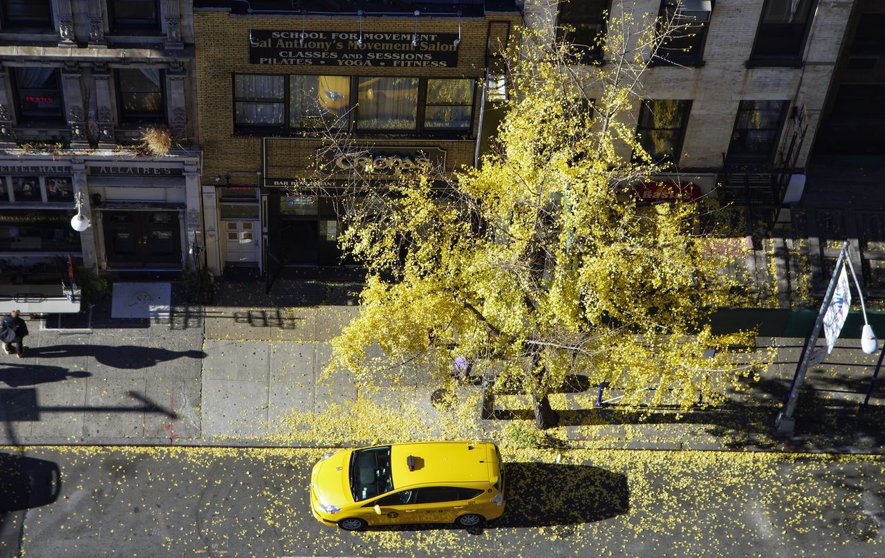 no people, yellow, city, indoors, close-up, day