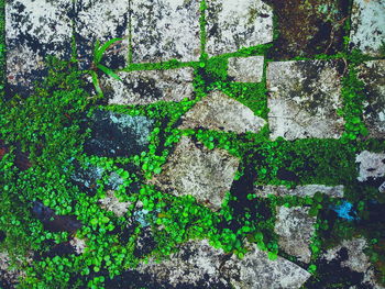 Full frame shot of weathered wall