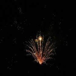 Low angle view of firework display at night