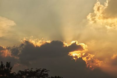 Low angle view of silhouette trees against dramatic sky